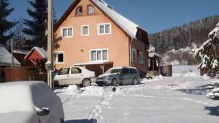 Фото Дома для отпуска Casa Moldovan г. Извору Мурешулуй